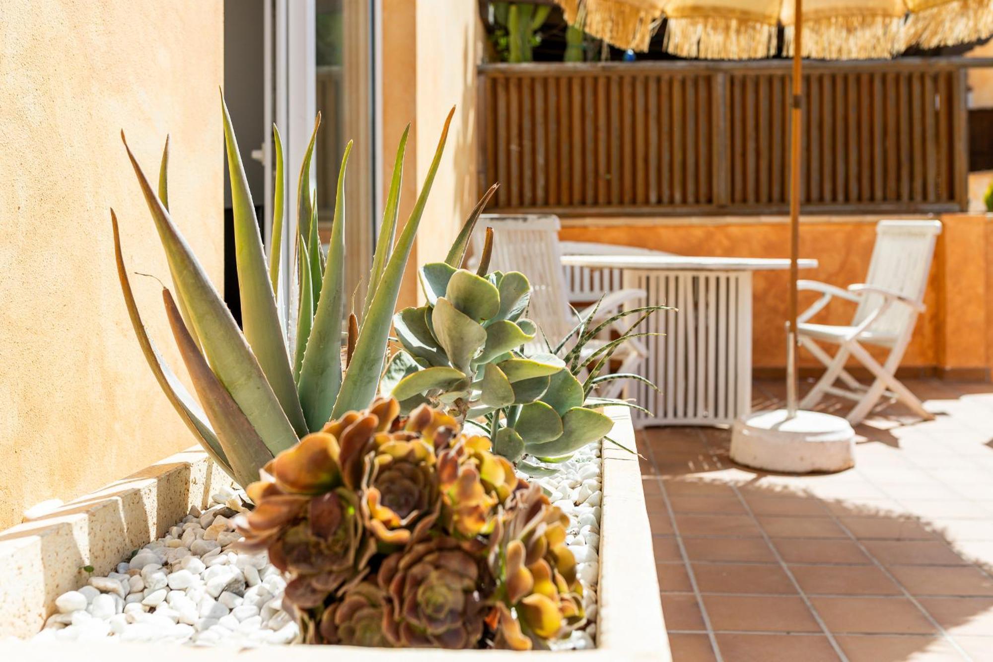 Palm Beach House Κοραλέχο Εξωτερικό φωτογραφία